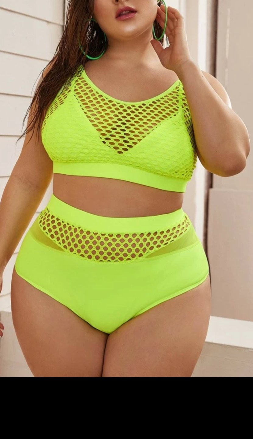 fishnet high waisted bikini