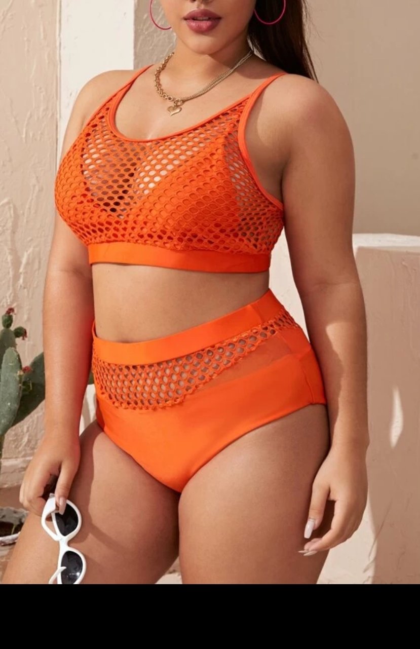 fishnet high waisted bikini